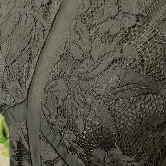 Beautiful Black Lace Dress with Sheer Panel /Large - Picture 6 of 11